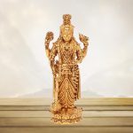 Lord Venkateswara Swamy